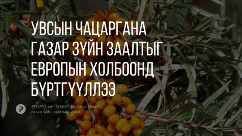 Монгол Улсаас анх удаа Увсын чацаргана газар зүйн заалтыг Европын Холбоонд бүртгүүллээ
